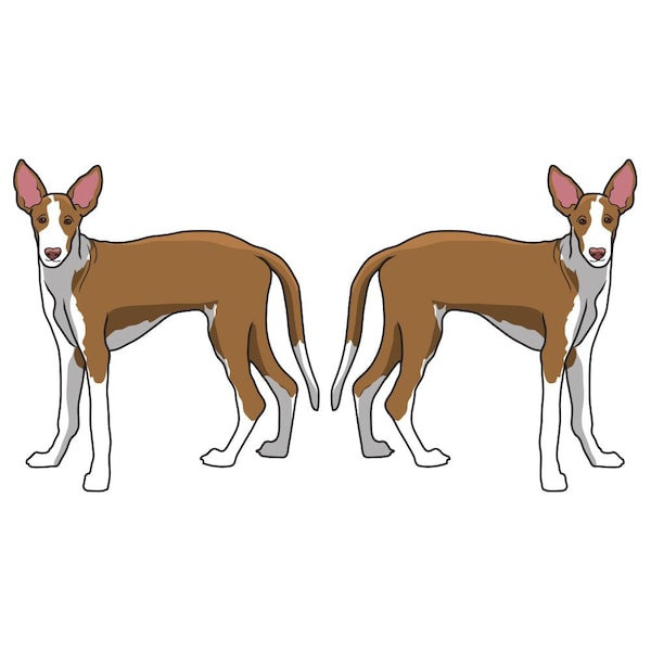 Signmission Ibizan Hound Dog Decal, Dog Lover Decor Vinyl Sticker D-24-Ibizan Hound - main